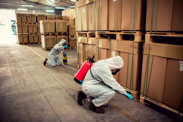 Best Pest Removal Services  in Waynesboro, MS