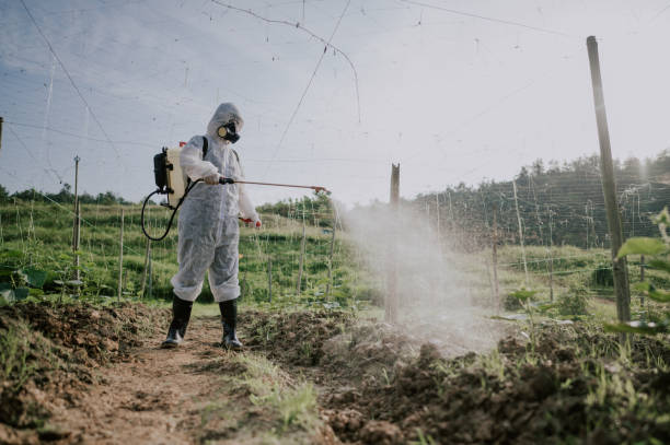 Best Pest Prevention Services  in Waynesboro, MS