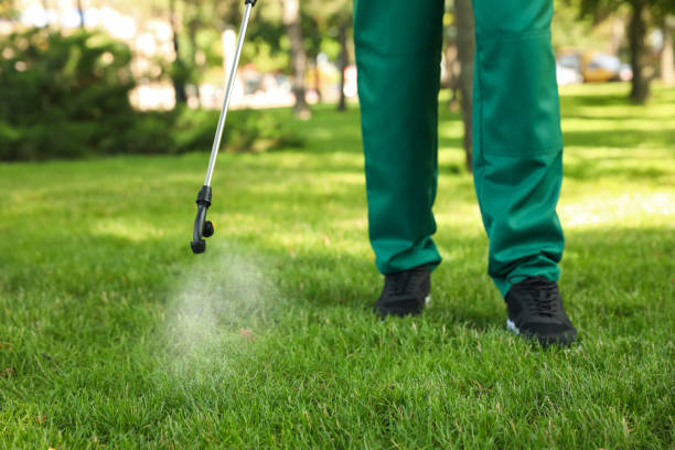 Best Pest Inspection Near Me  in Waynesboro, MS