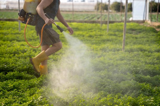 Best Best Pest Control Companies  in Waynesboro, MS