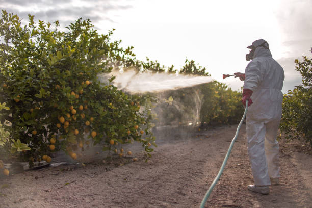 Best Insect Control  in Waynesboro, MS