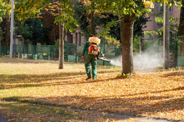 Reliable Waynesboro, MS Pest Control Solutions