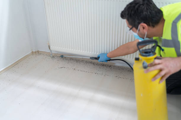 Best Pest Prevention Services  in Waynesboro, MS