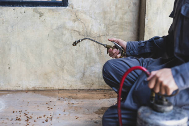 Best Termite Control Services  in Waynesboro, MS