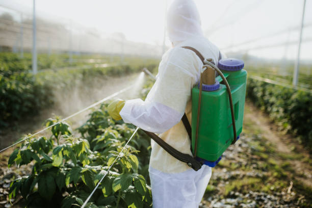 Pest Control for Restaurants in Waynesboro, MS